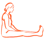 Hatha Yoga/Stretching