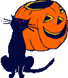 Pumpkin & cat
